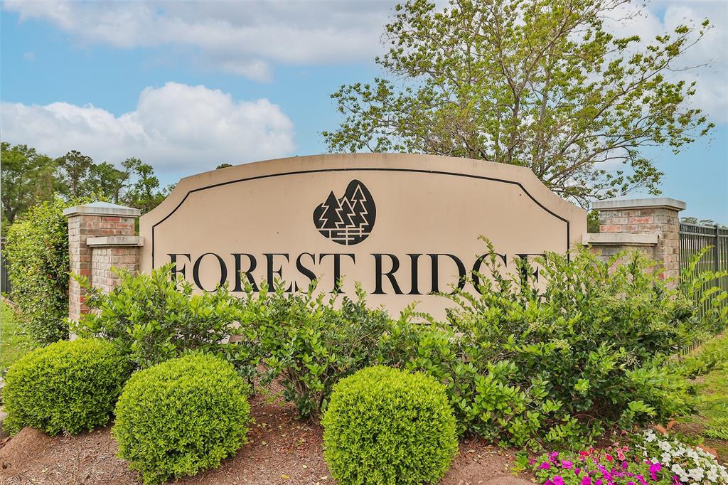 22110 Orchard Dale Drive, Spring, Texas image 36