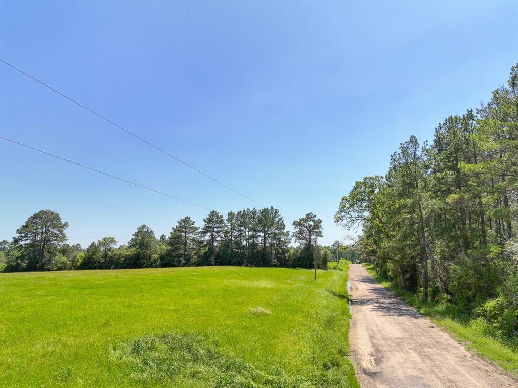 Sanford Road, Corrigan, Texas image 13