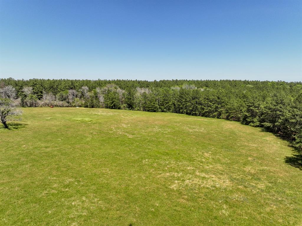 Sanford Road, Corrigan, Texas image 8