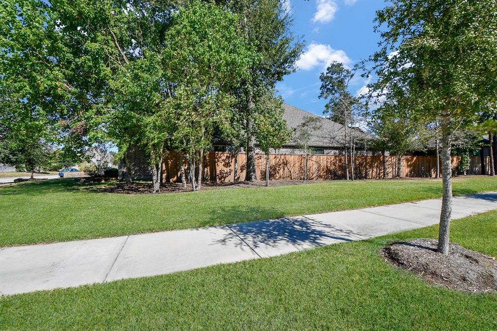 18783 Montero Lane, New Caney, Texas image 3