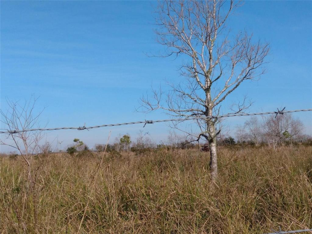 00 Belton Ln Extension, Anahuac, Texas image 4