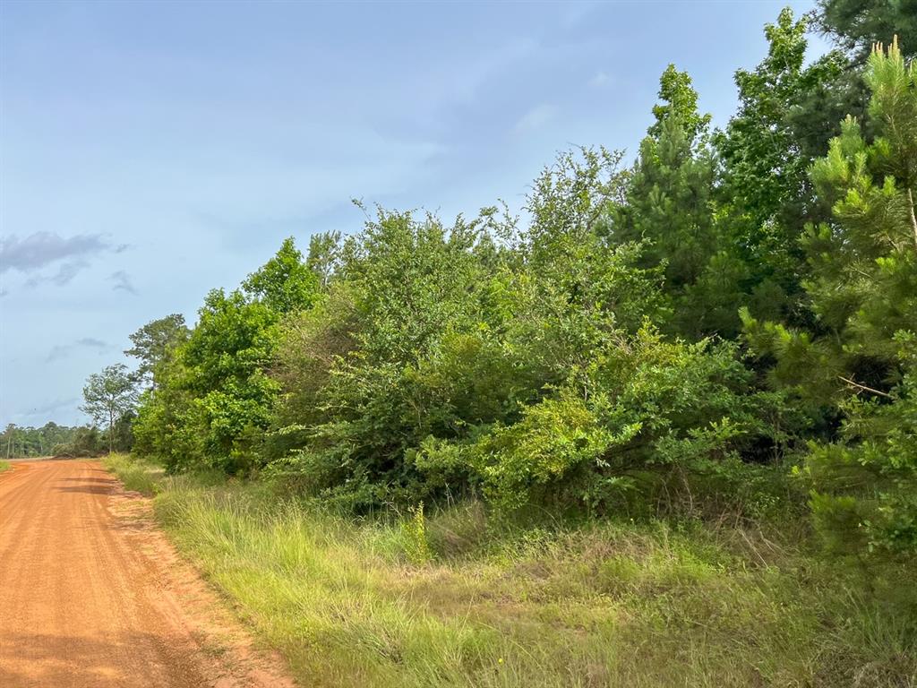 4 Old Salem Church Road, Willis, Texas image 7