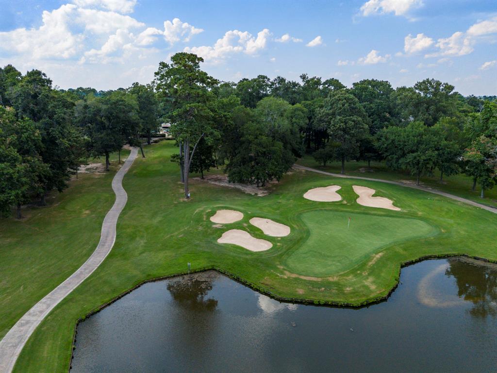 13431 Cherry Hill Circle Circle, Montgomery, Texas image 21