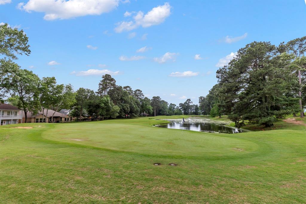 13431 Cherry Hill Circle Circle, Montgomery, Texas image 7