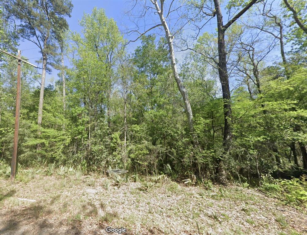 Magnolia Ridge Drive, Conroe, Texas image 2