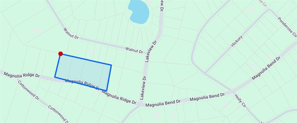 Magnolia Ridge Drive, Conroe, Texas image 1