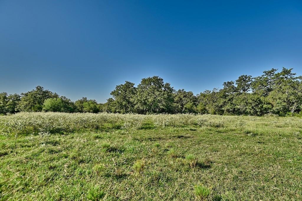 TBD County Road 134, Hallettsville, Texas image 14