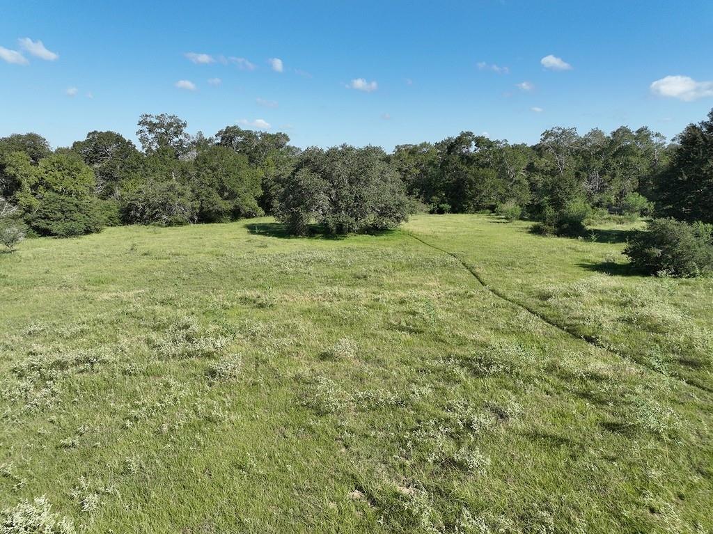 TBD County Road 134, Hallettsville, Texas image 16