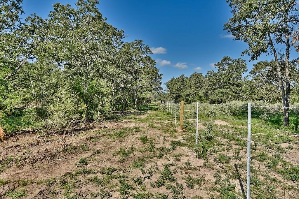 TBD County Road 134, Hallettsville, Texas image 12