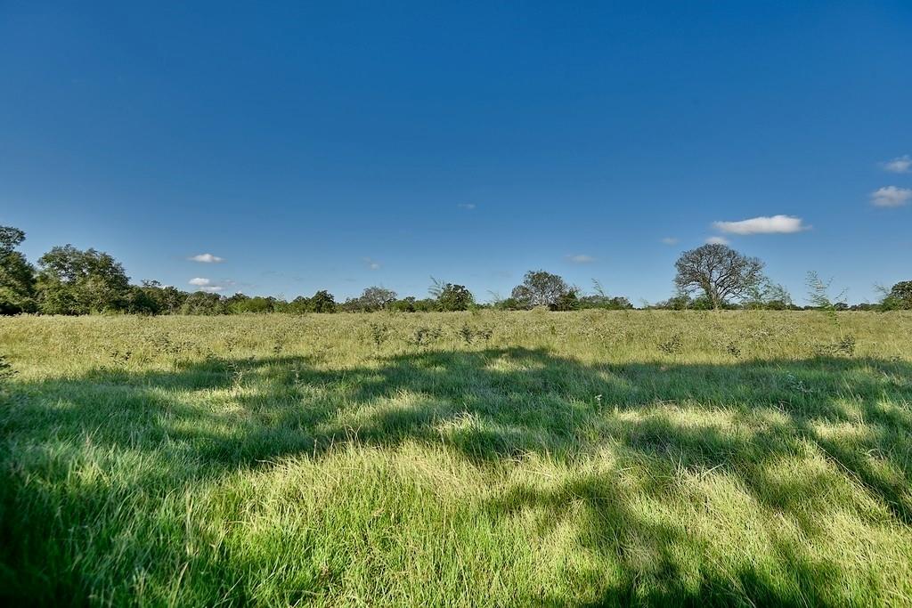 TBD County Road 134, Hallettsville, Texas image 15