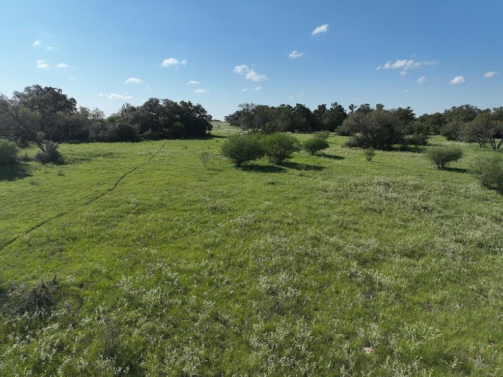 TBD County Road 134, Hallettsville, Texas image 13