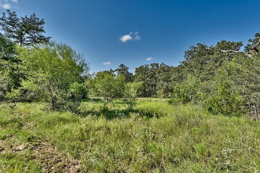 TBD County Road 134, Hallettsville, Texas image 8