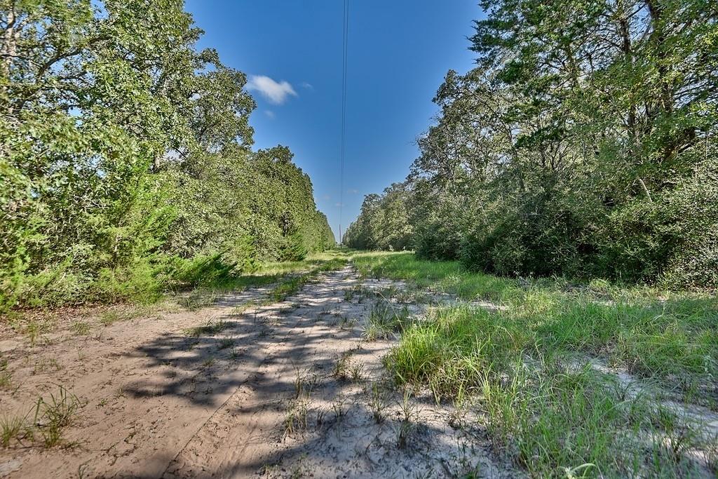 TBD County Road 134, Hallettsville, Texas image 7