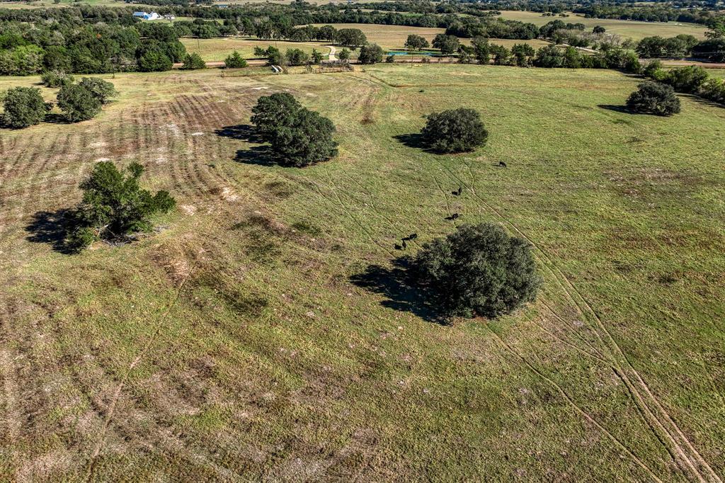 07 Sawmill Road Tract 7, Brenham, Texas image 7