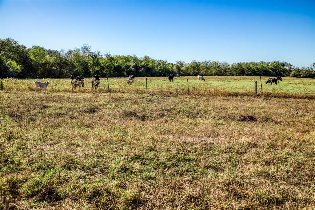 07 Sawmill Road Tract 7, Brenham, Texas image 1