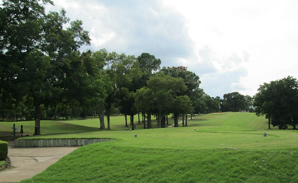123 April Cove Street, Conroe, Texas image 21
