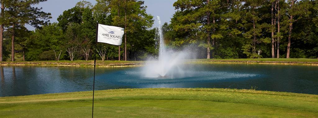 123 April Cove Street, Conroe, Texas image 20