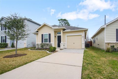21730 Mossy Field Lane Spring TX 77388