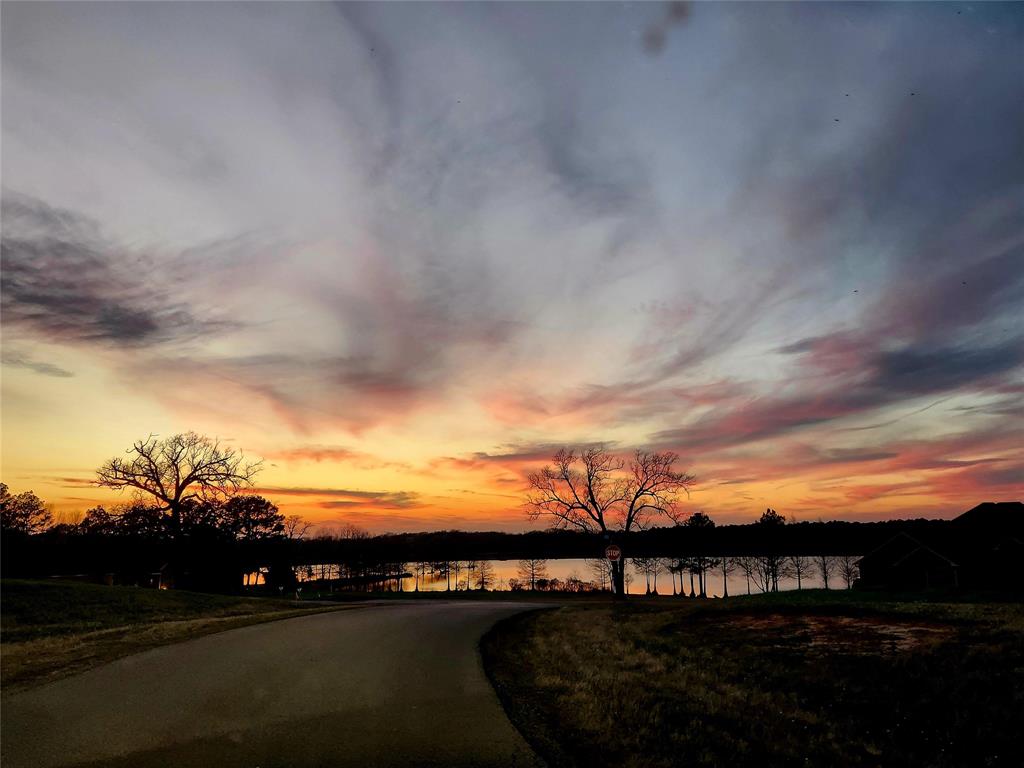 Lot 155 Lago Vista Drive, Athens, Texas image 23