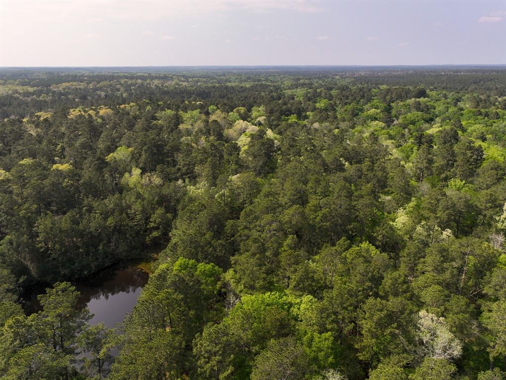 5614 County Road 1450, Warren, Texas image 5