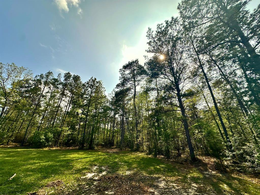 5614 County Road 1450, Warren, Texas image 26