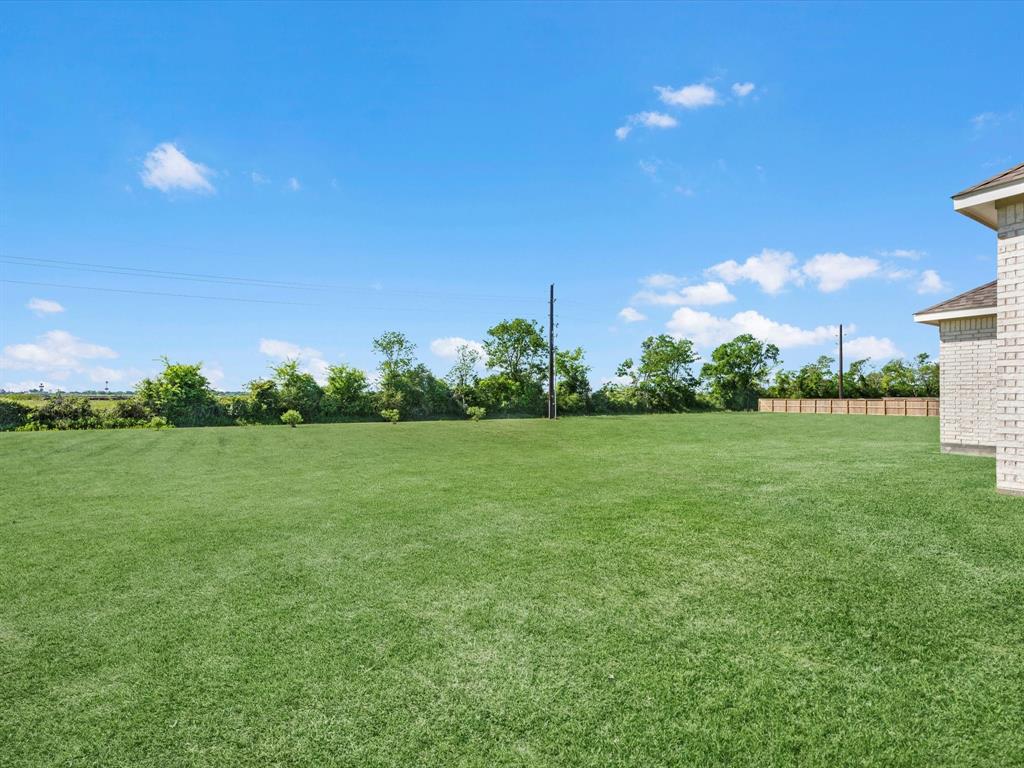 15126 Arenosa Avenue, Mont Belvieu, Texas image 3