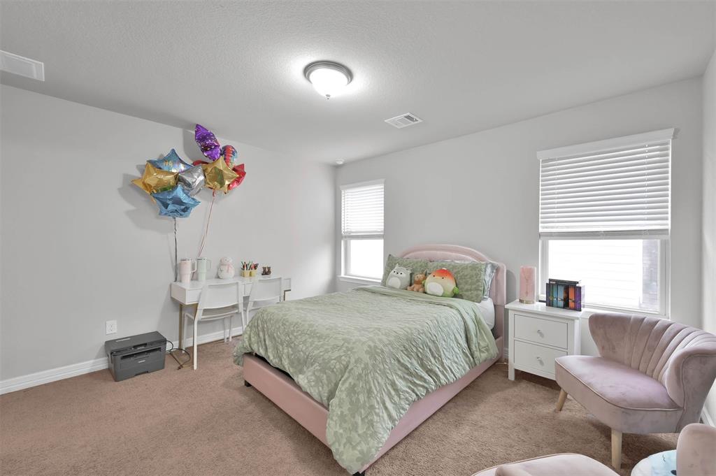 169 Chestnut Meadow Drive, Conroe, Texas image 38