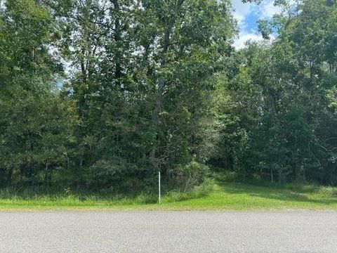 Vacant Land For Sale - 000 Pinewood<br/> Hardin County, Sour Lake, TX 77659