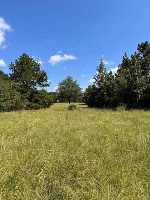 TBD County Road 1755 Anderson Co, Grapeland, Texas image 14