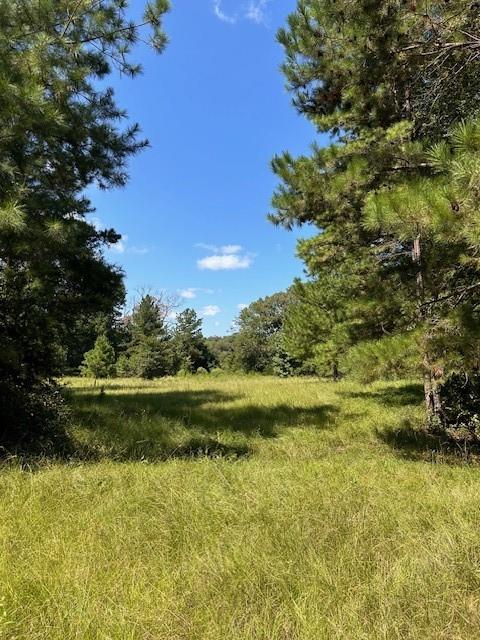 TBD County Road 1755 Anderson Co, Grapeland, Texas image 19