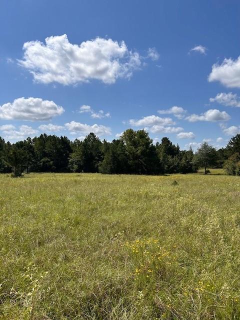 TBD County Road 1755 Anderson Co, Grapeland, Texas image 16