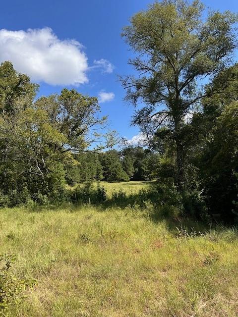 TBD County Road 1755 Anderson Co, Grapeland, Texas image 10