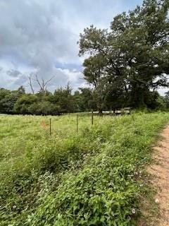 TBD County Road 1755 Anderson Co, Grapeland, Texas image 1