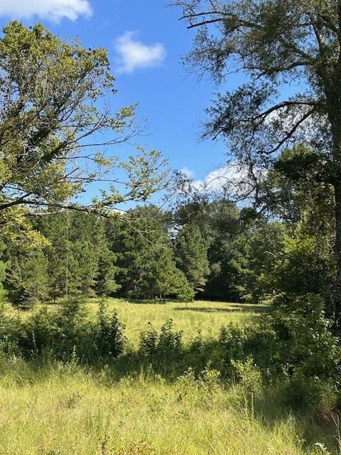 TBD County Road 1755 Anderson Co, Grapeland, Texas image 11