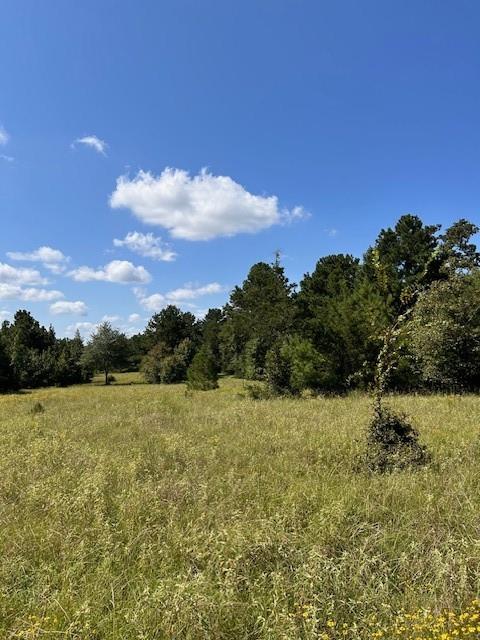 TBD County Road 1755 Anderson Co, Grapeland, Texas image 17