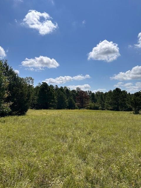 TBD County Road 1755 Anderson Co, Grapeland, Texas image 15