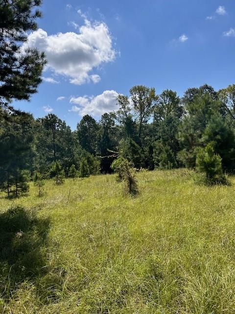 TBD County Road 1755 Anderson Co, Grapeland, Texas image 18