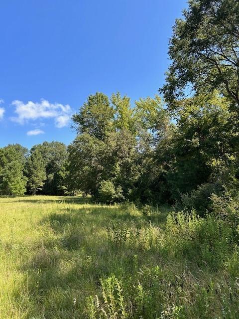 TBD County Road 1755 Anderson Co, Grapeland, Texas image 3