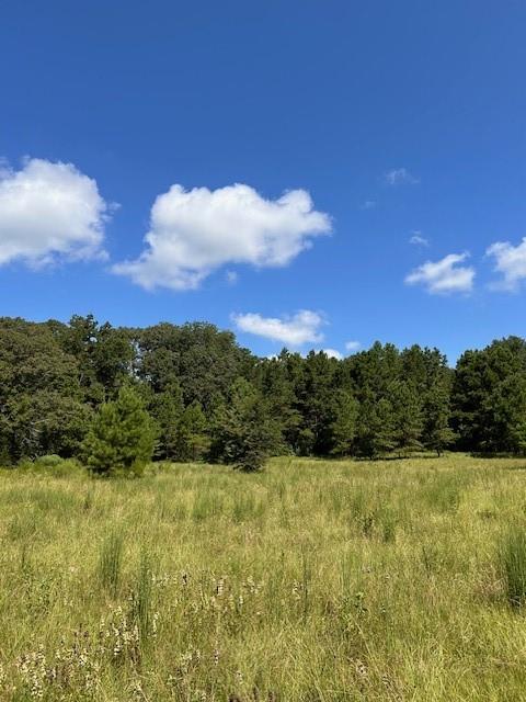 TBD County Road 1755 Anderson Co, Grapeland, Texas image 12