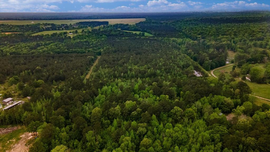 TBD Shaw Road, Batson, Texas image 29