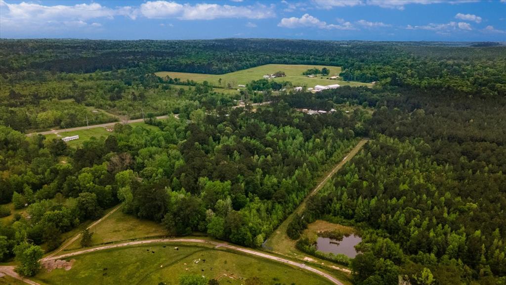 TBD Shaw Road, Batson, Texas image 23