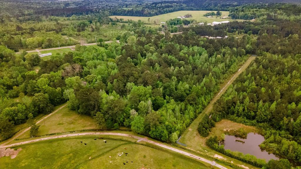 TBD Shaw Road, Batson, Texas image 9