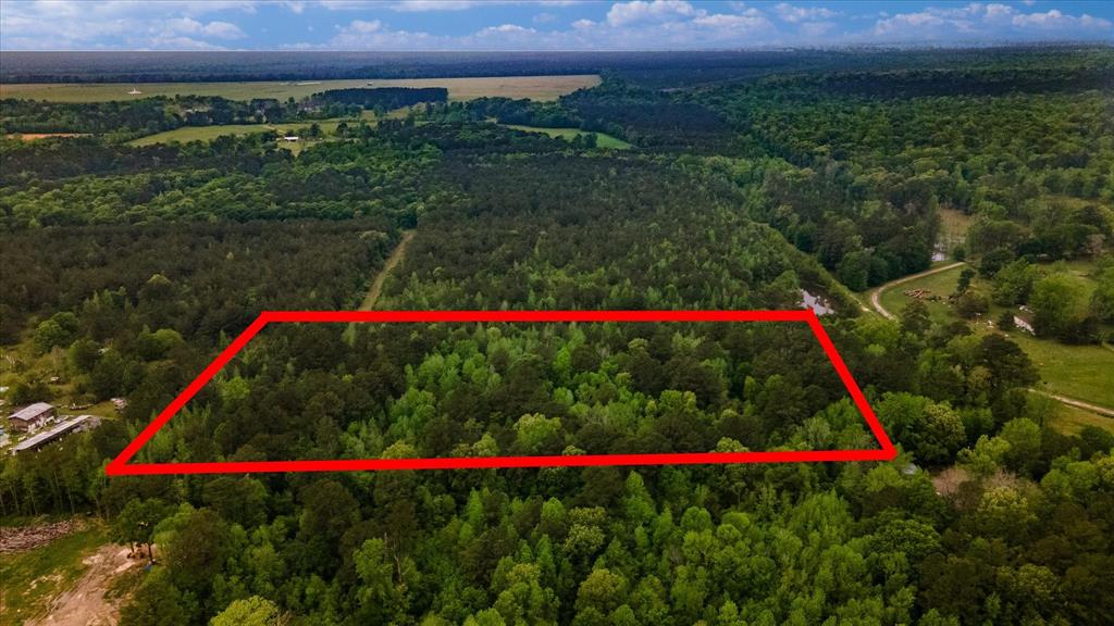 TBD Shaw Road, Batson, Texas image 28