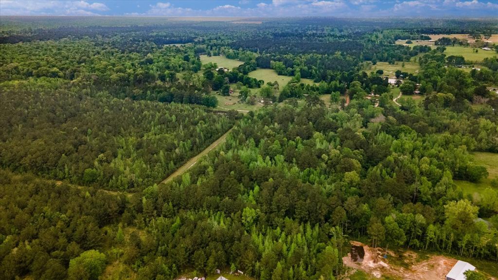TBD Shaw Road, Batson, Texas image 31