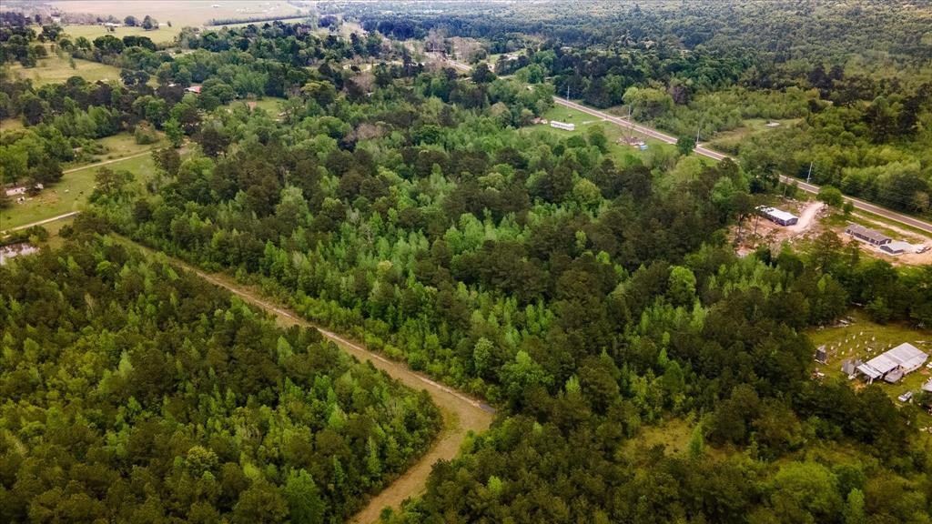 TBD Shaw Road, Batson, Texas image 17