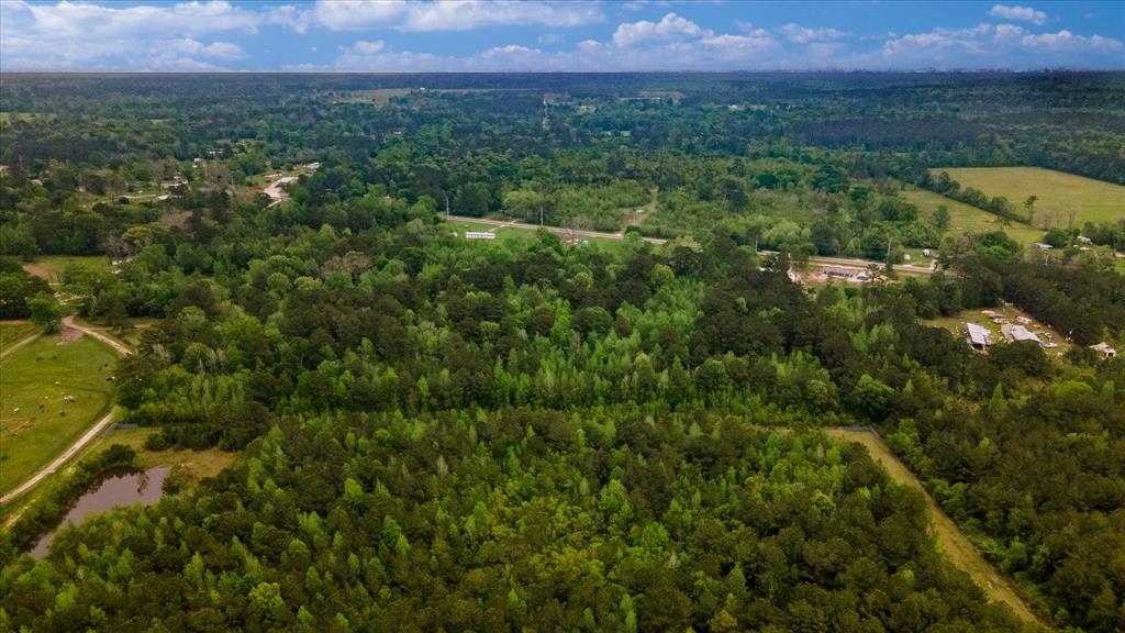 TBD Shaw Road, Batson, Texas image 21