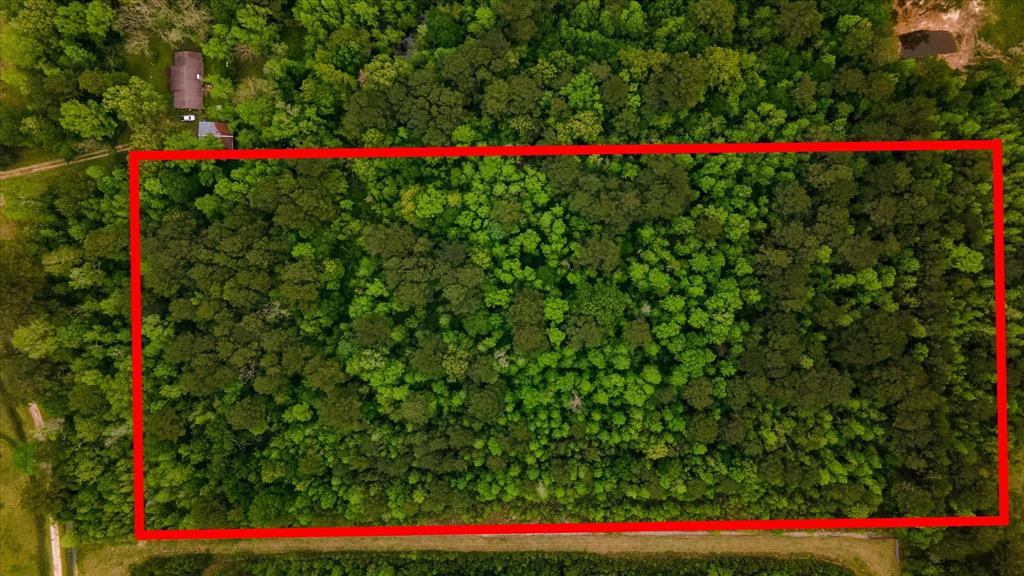 TBD Shaw Road, Batson, Texas image 18