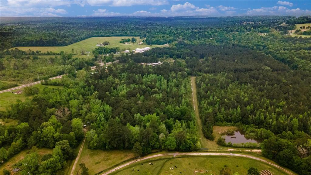 TBD Shaw Road, Batson, Texas image 25