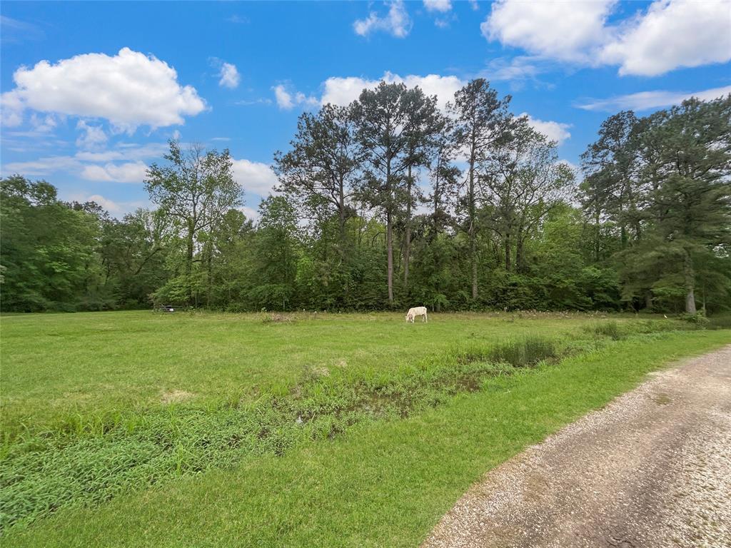 TBD Shaw Road, Batson, Texas image 3