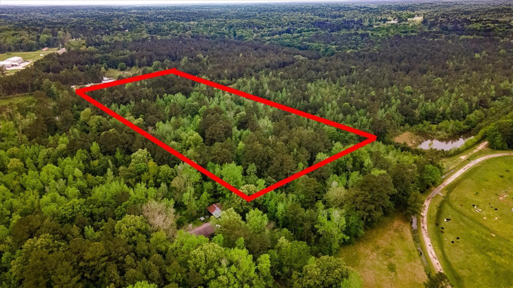 TBD Shaw Road, Batson, Texas image 10